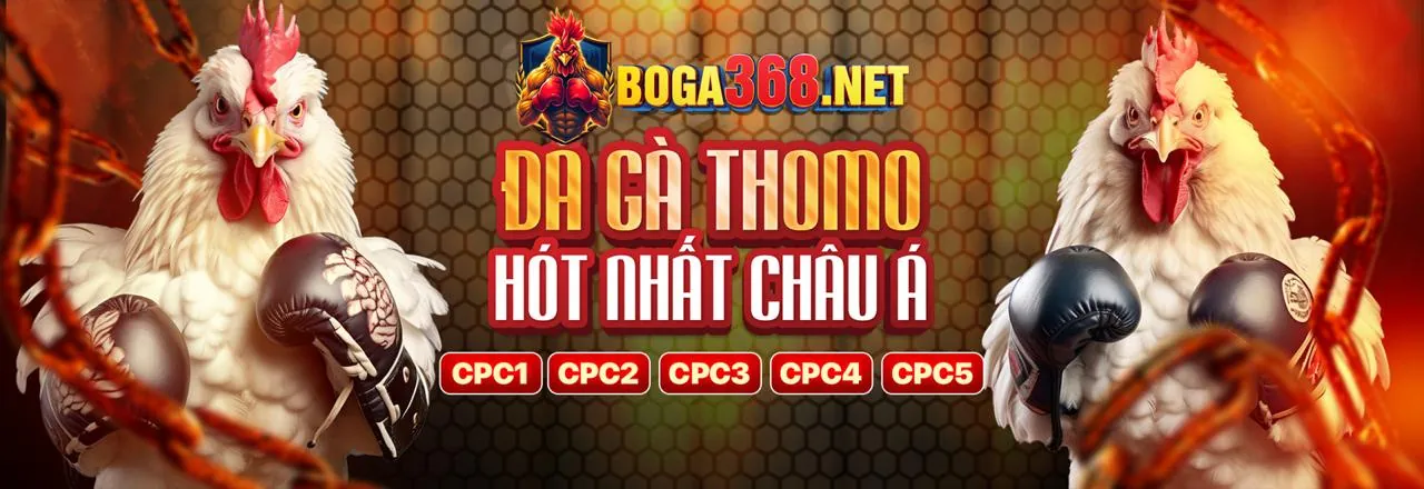 Đa dạng môn thể thao cá cược tại 77win1 nhà cái